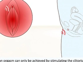 A comprehensive guide to understanding female orgasms