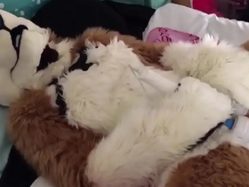 FreyaShibe's steamy Twitter show with furry vibrator fun